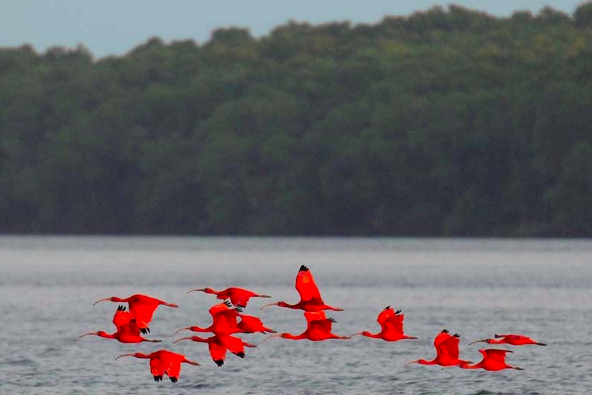 d267ee_0036001637ae4616bfbd7bd0324231a2~mv2