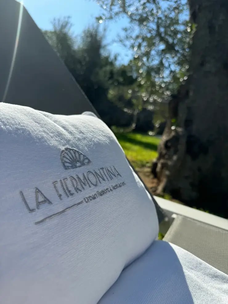 d267ee_02dc9367d846463a93315a0a7a27cfe7~mv2