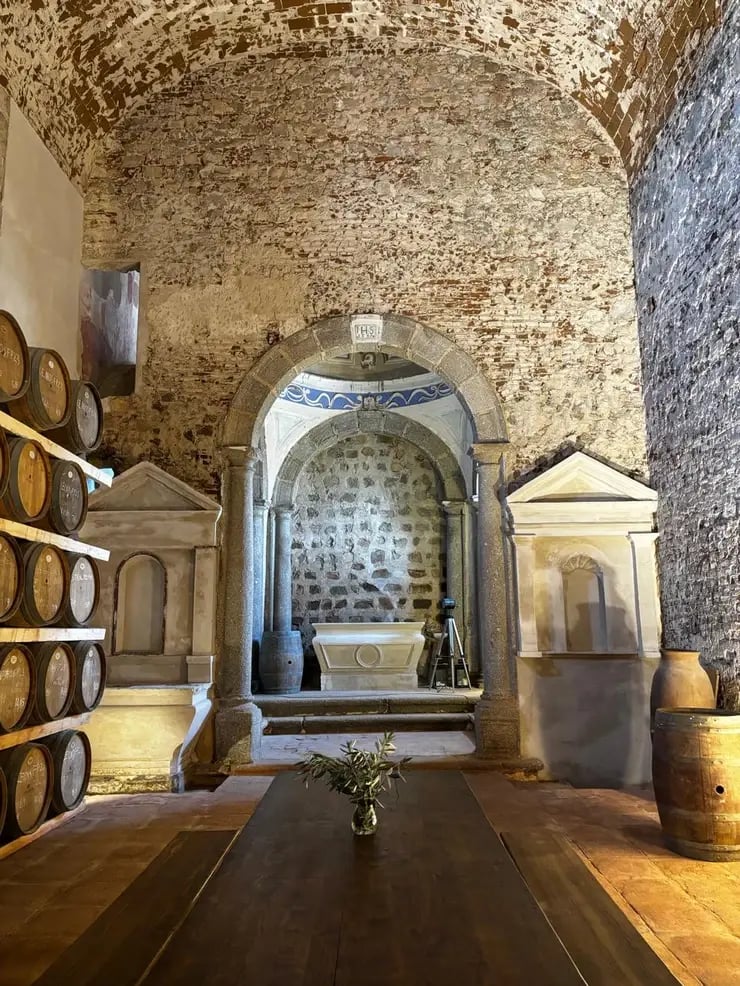 d267ee_0cf49712d12a4d78851a311ba414ad14~mv2