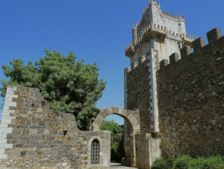 d267ee_15273c07794d4e29b49e36de027a8b2a~mv2