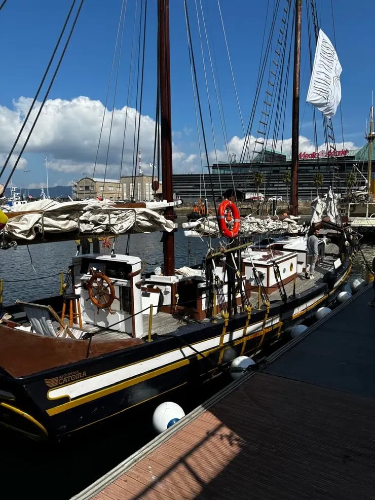 d267ee_1b2c7f234bf0402fb61127833d1bd2c8~mv2