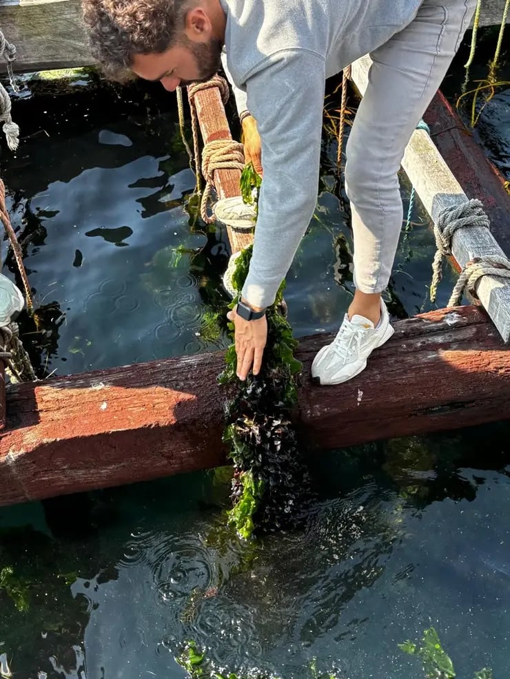 d267ee_1c44a77ef57f4b988abb8b5af565d119~mv2