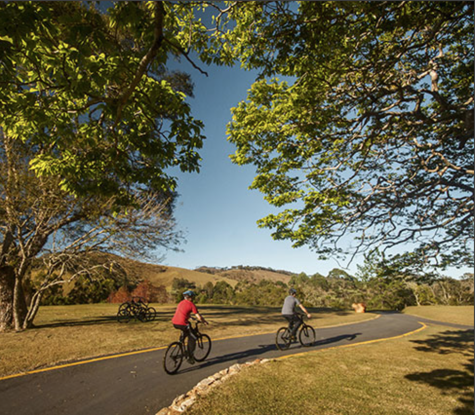 d267ee_1ceaccbc7699449f84a985ff0cf3abf5~mv2