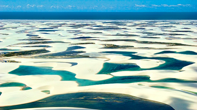 d267ee_1f2964447c6247d884d3ff3eda13525f~mv2