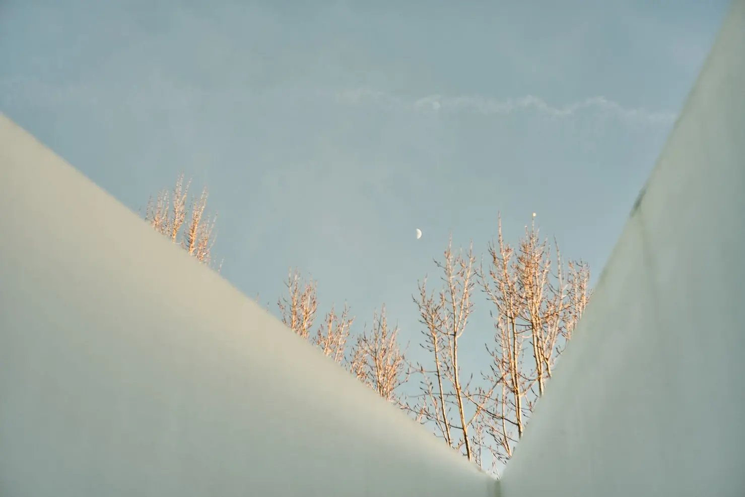 d267ee_20d04d6a4a48423bbf5abd3fb866d9c9~mv2