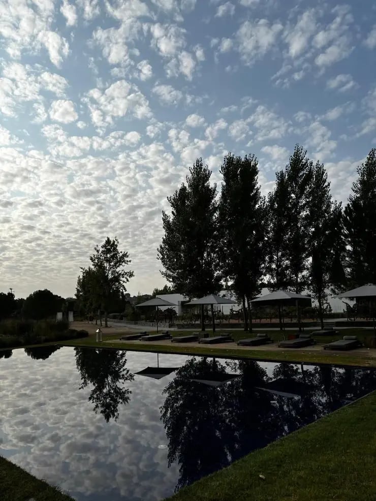 d267ee_347110992d4a4c2cbf6d4d12f91f7275~mv2