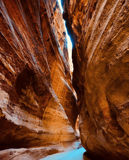 d267ee_3751b027363d49e89f77af94424f98f3~mv2