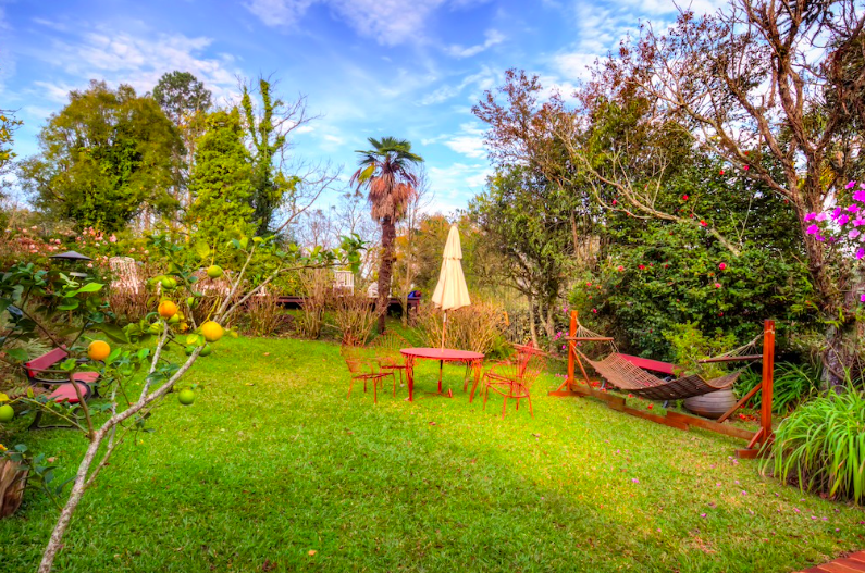 d267ee_3c8abf5299714750a504831da0937568~mv2