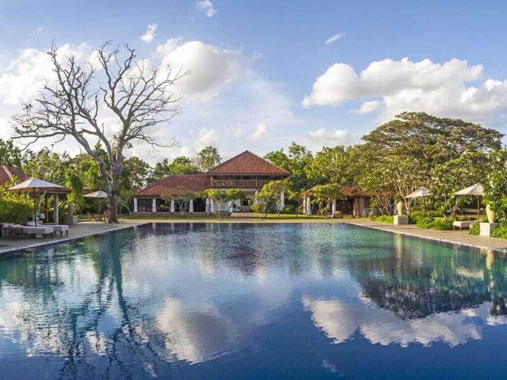 d267ee_41aa312c3b964a96ae3686633504a9b3~mv2