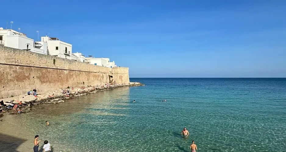 d267ee_42f0d1e648d44a8681d7f27df6b4bd4e~mv2