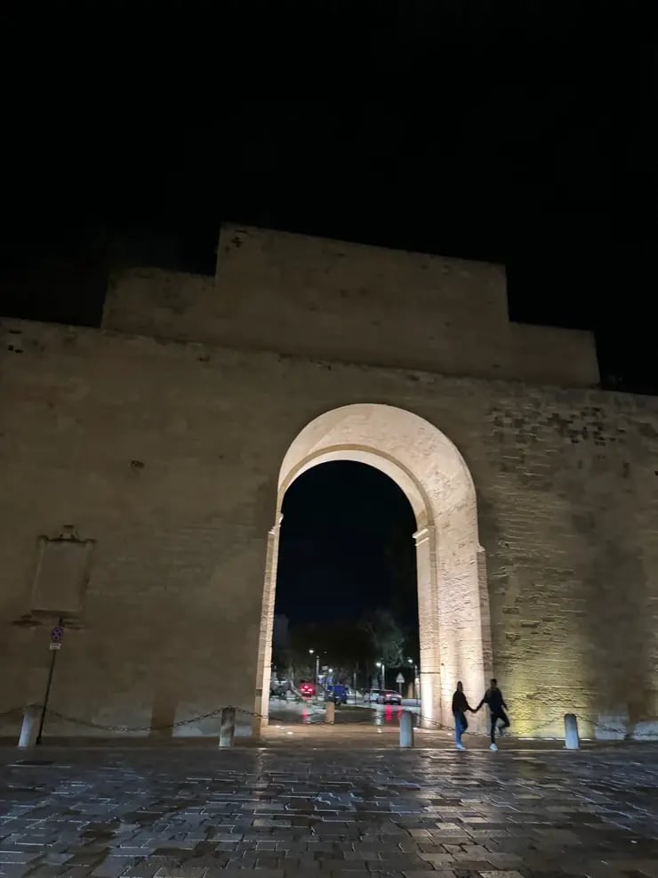 d267ee_48469b57ecbf462a9e9843ecbd63d7dd~mv2