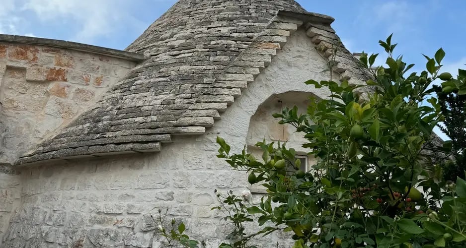 d267ee_4a65086ba21440cba86b56213a24fffe~mv2