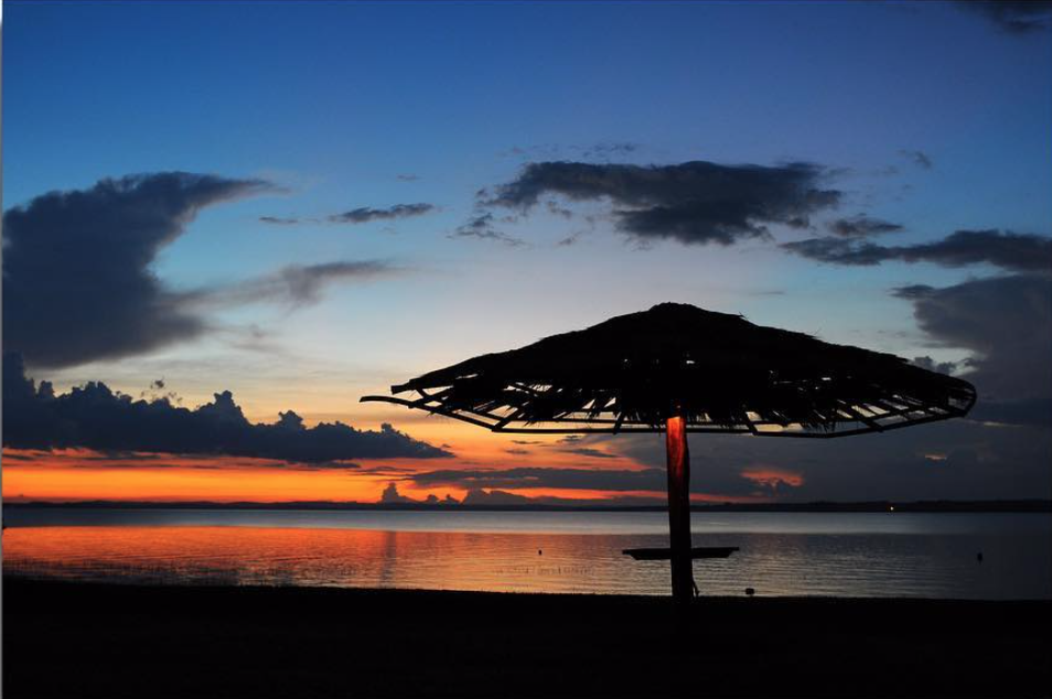 d267ee_50ea28552f5443a0b324e92639c5306d~mv2