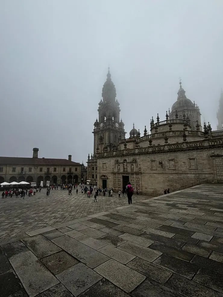 d267ee_54e47f78aead4391bfe38dbb0966b88f~mv2