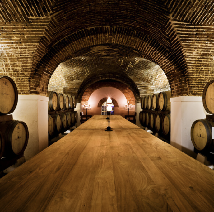 d267ee_5514f688059a42818355baaecd600283~mv2-1