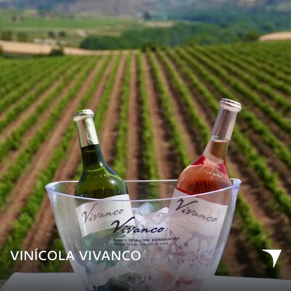 d267ee_5a78a42411be4faa9532af3e2fb627d4~mv2