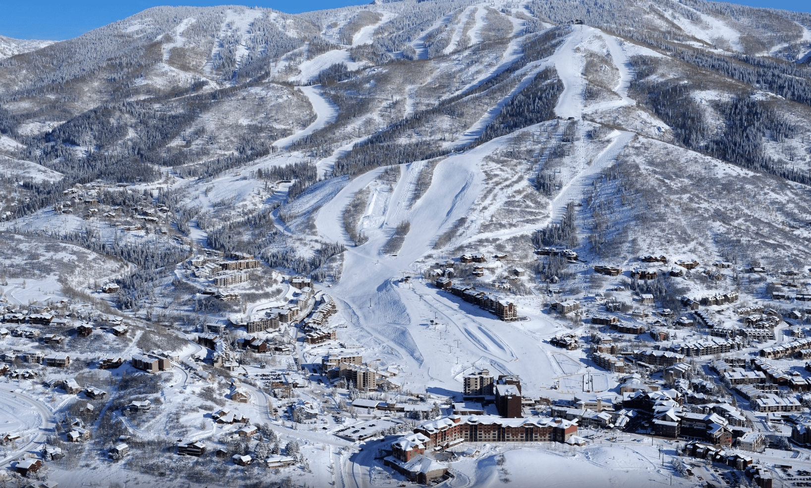 d267ee_5e5e970704484c2187586c288f368ddf~mv2