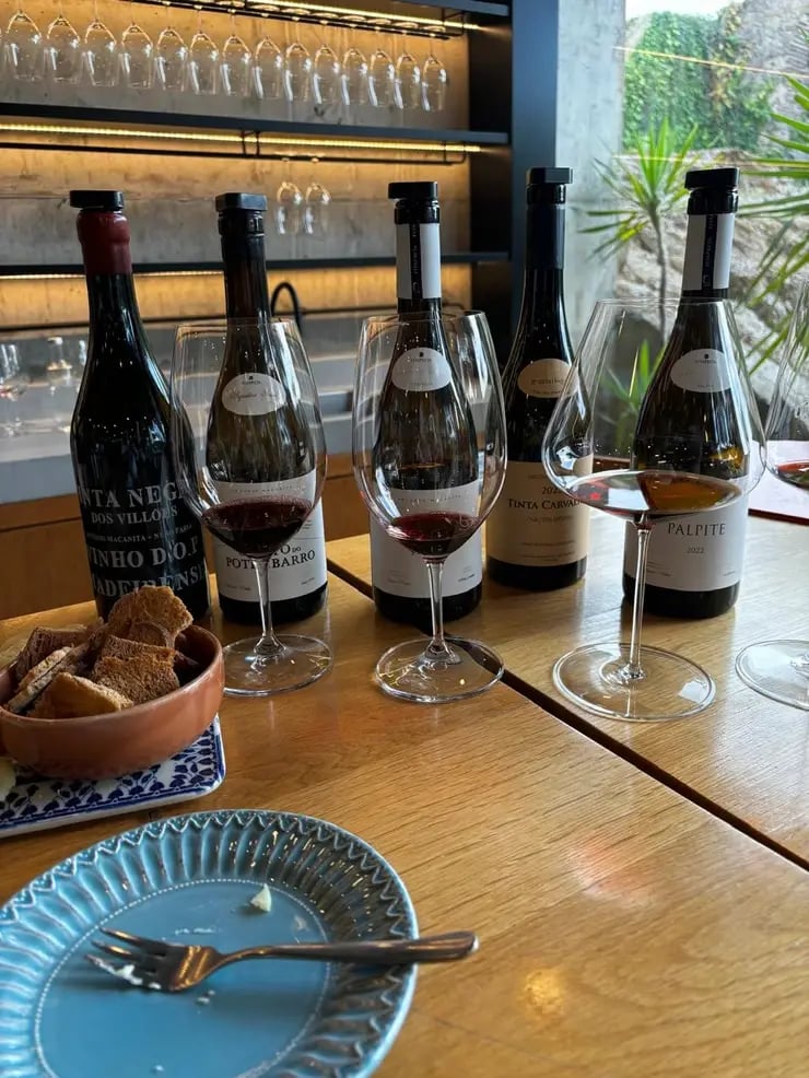 d267ee_5fe91adcf2a74a8590acd37fa1f73fbb~mv2