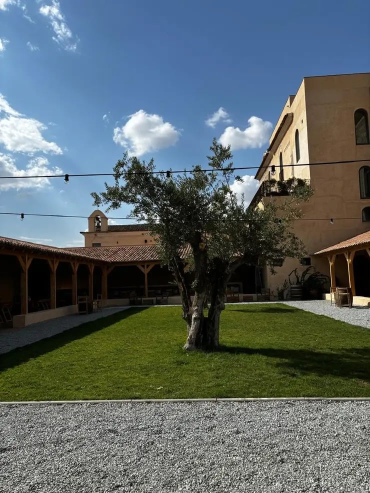 d267ee_5feda6c339bf4f40b7e5202f016484a9~mv2