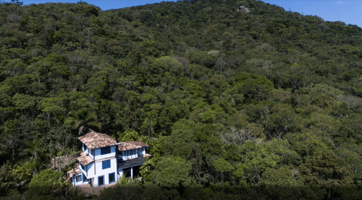 d267ee_67893ddeeac246cf80ca09b7b74a5bef~mv2