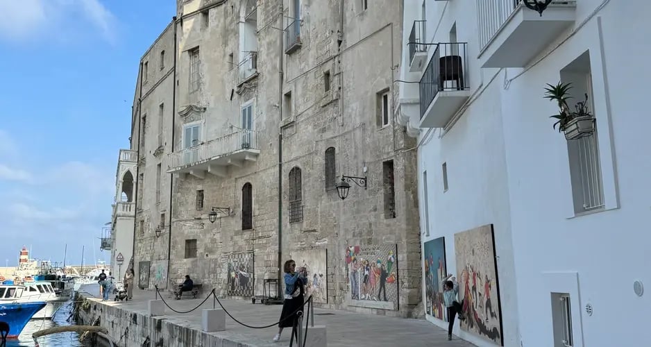 d267ee_68f776325ac049cc941a431cb67c4948~mv2