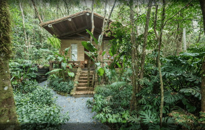 d267ee_72b074bf17a74318a950530bfd9bd233~mv2