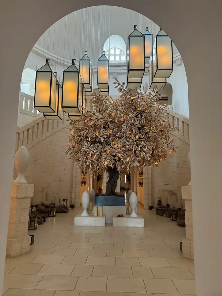 d267ee_75d5b1f5d77843e8a1e2ab983d447456~mv2