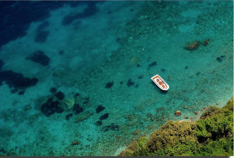 d267ee_83de40e548784efabe81dc897ade6a5e~mv2