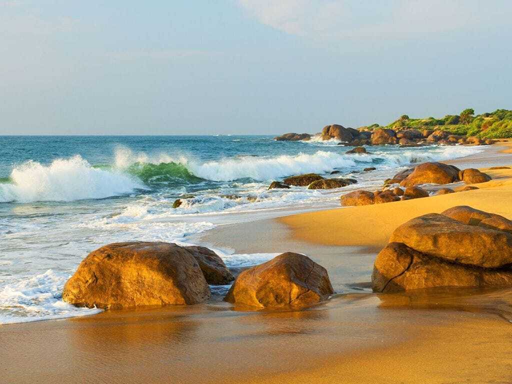 d267ee_89a16accefb040f29247c9391fabe147~mv2