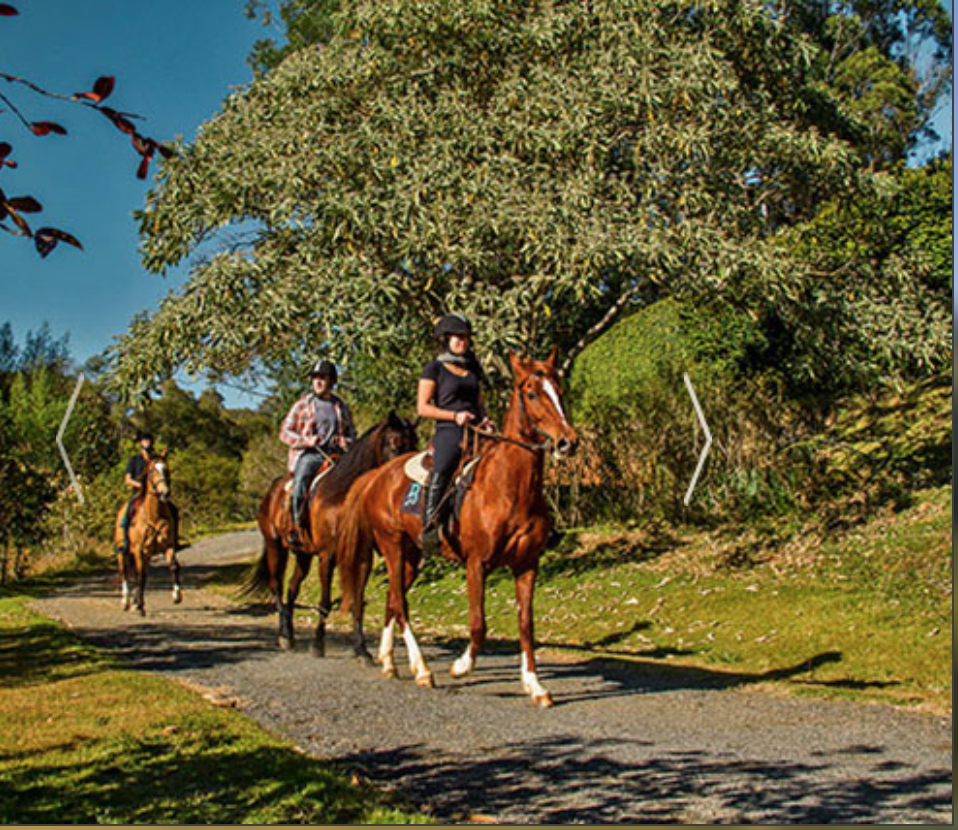 d267ee_920efba0a0fa45fb80ce9ecf1c31fb72~mv2