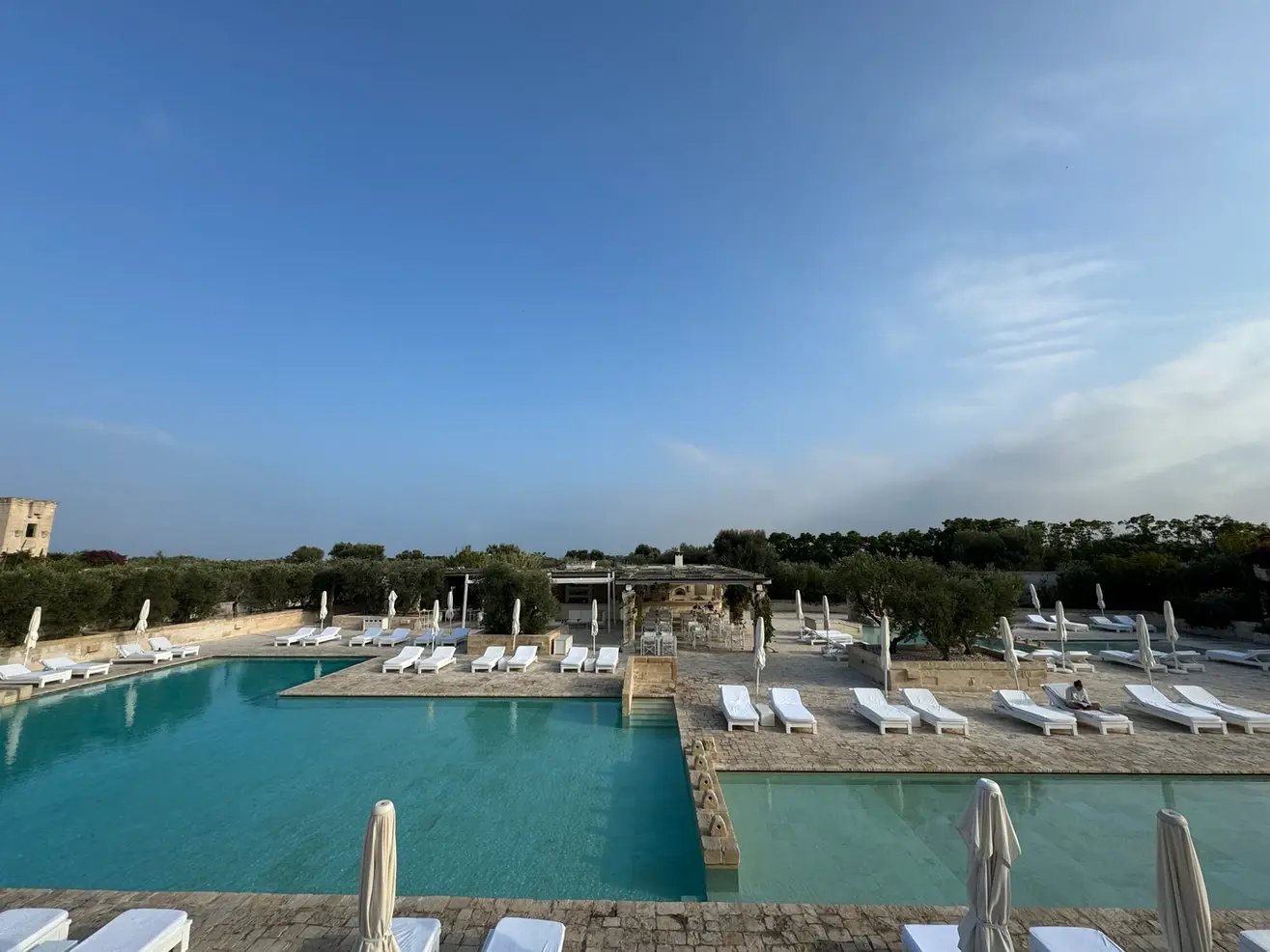 d267ee_95e8de6787fa4a23a9a66c71ed621658~mv2