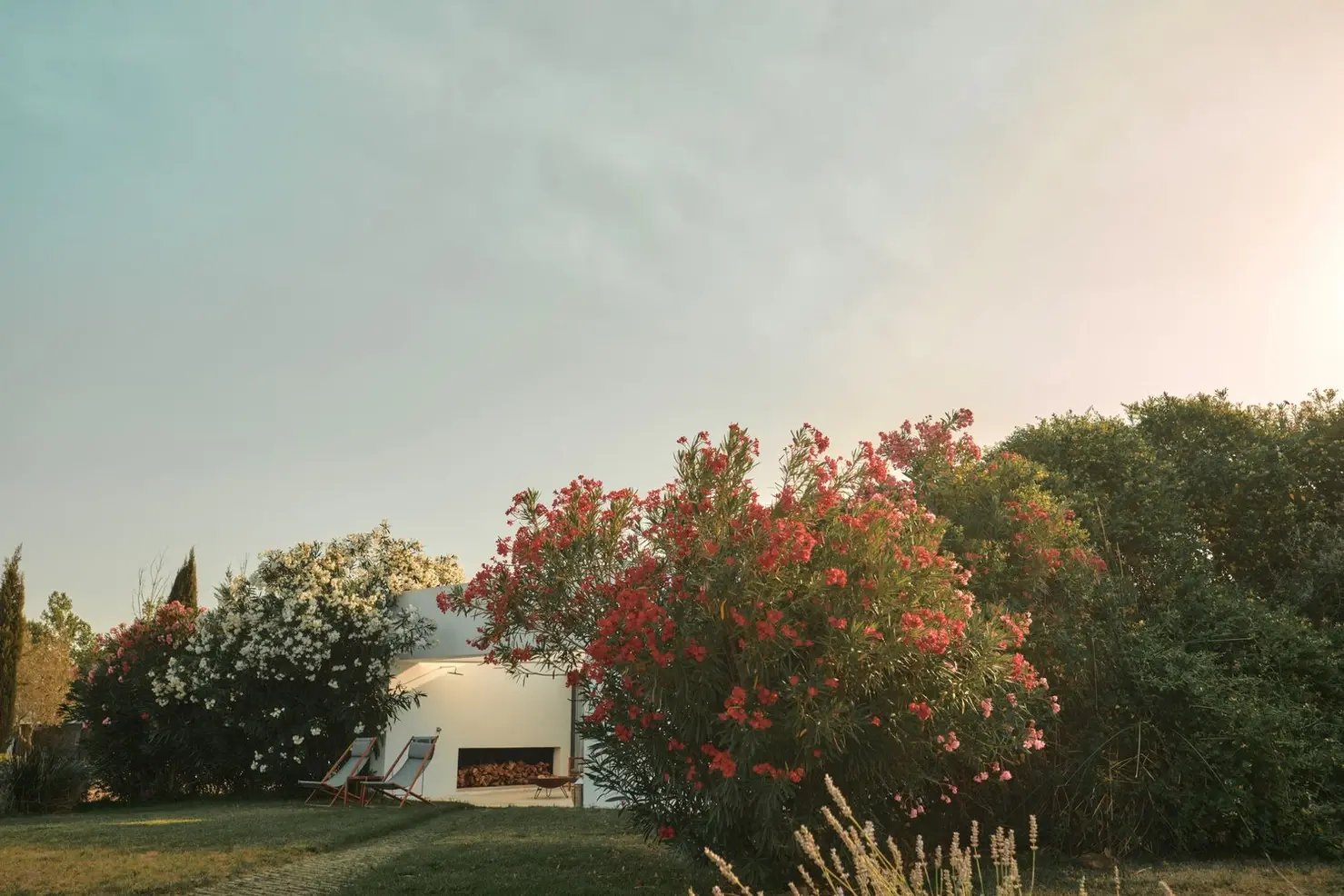 d267ee_96217b23dce94f1abc878d627cd63de2~mv2