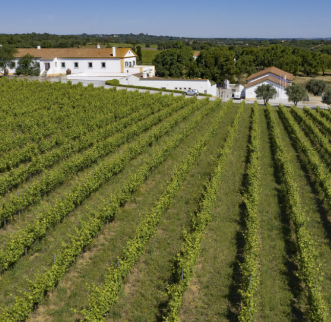 d267ee_97169ce259874736a5f4b44bb0237e4c~mv2