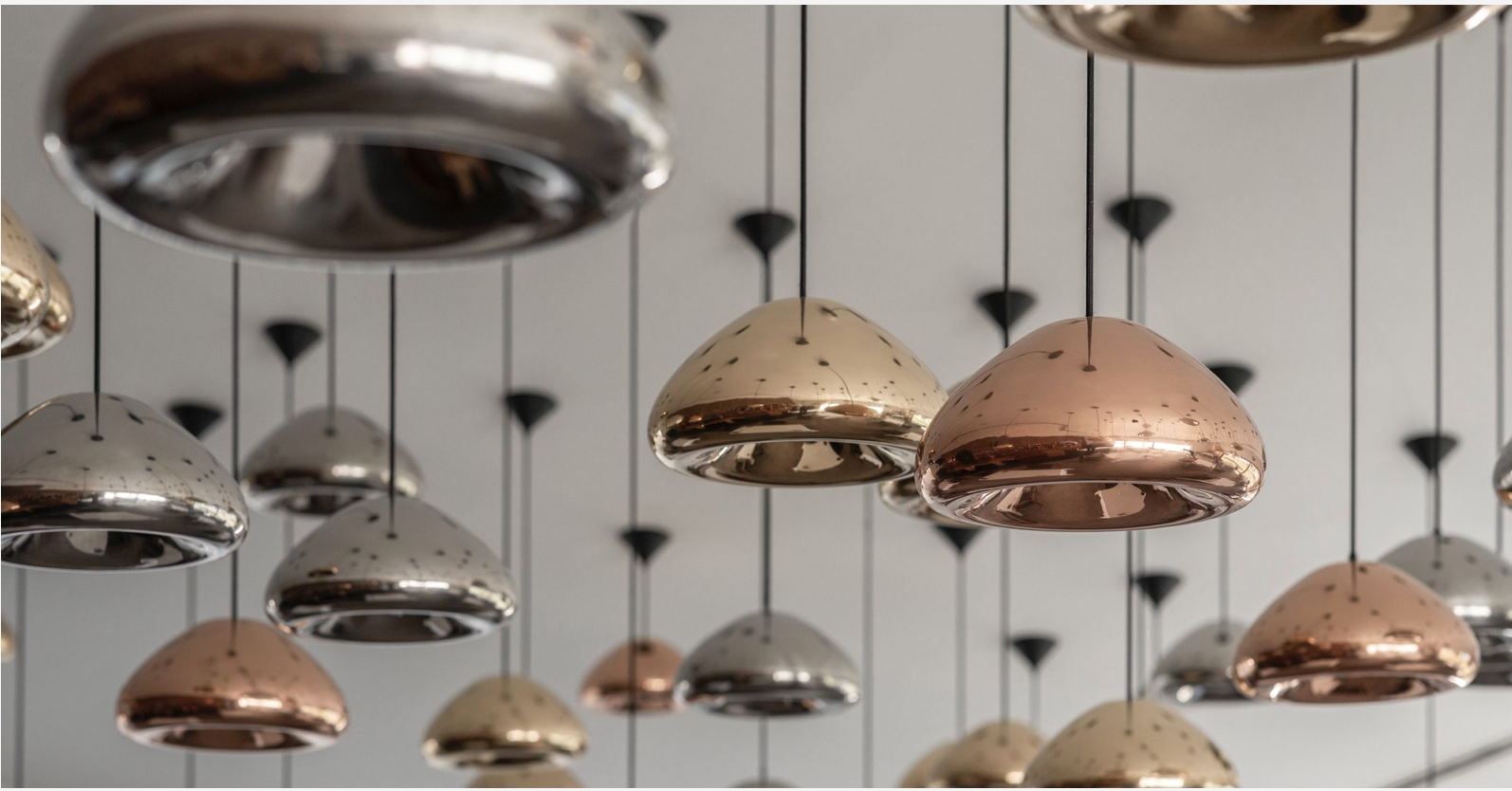 d267ee_980205747a14406cbeabc6eb03bcb5b2~mv2