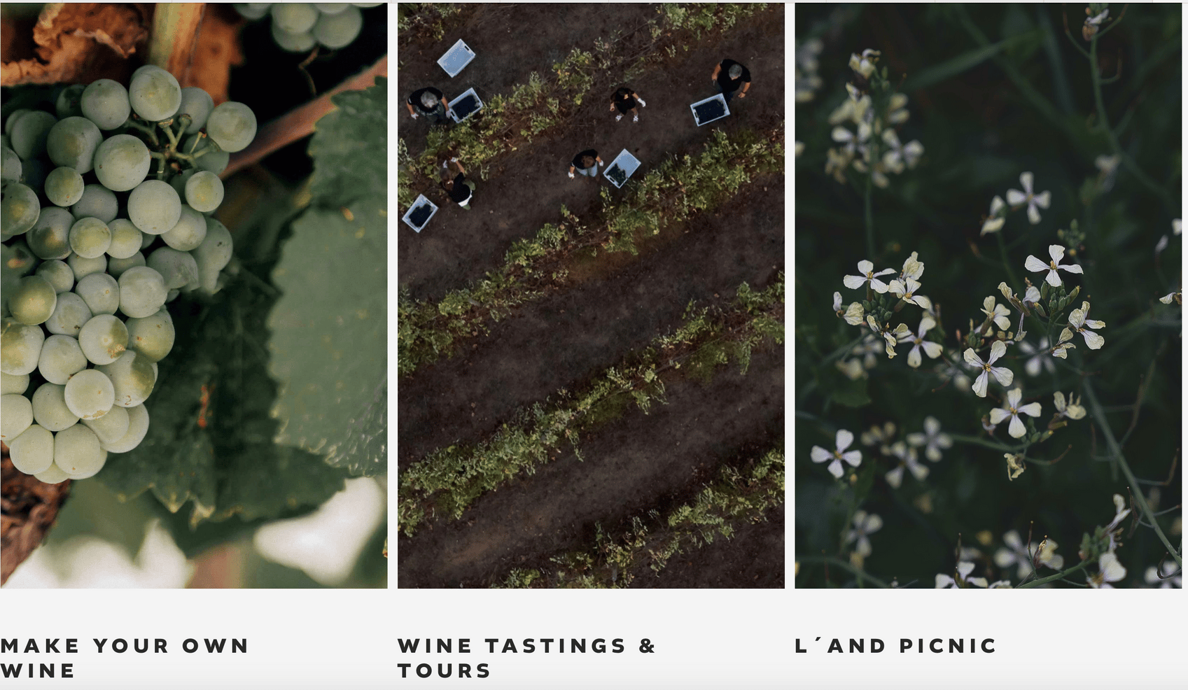 d267ee_a4d8bacc817d487a97131b6c332a0413~mv2