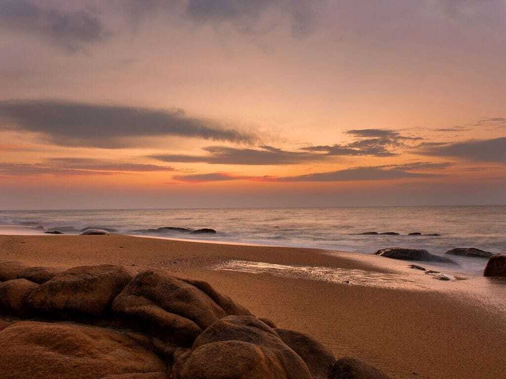 d267ee_a94a15b1b85c4811818c95d15553f297~mv2