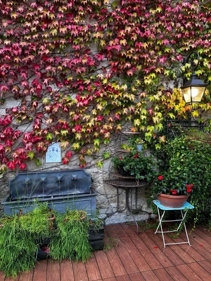 d267ee_a95980e2535a4a74823ac603f7823ad5~mv2