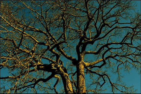 d267ee_ab587b325e294e888c1843e290f6a54a~mv2