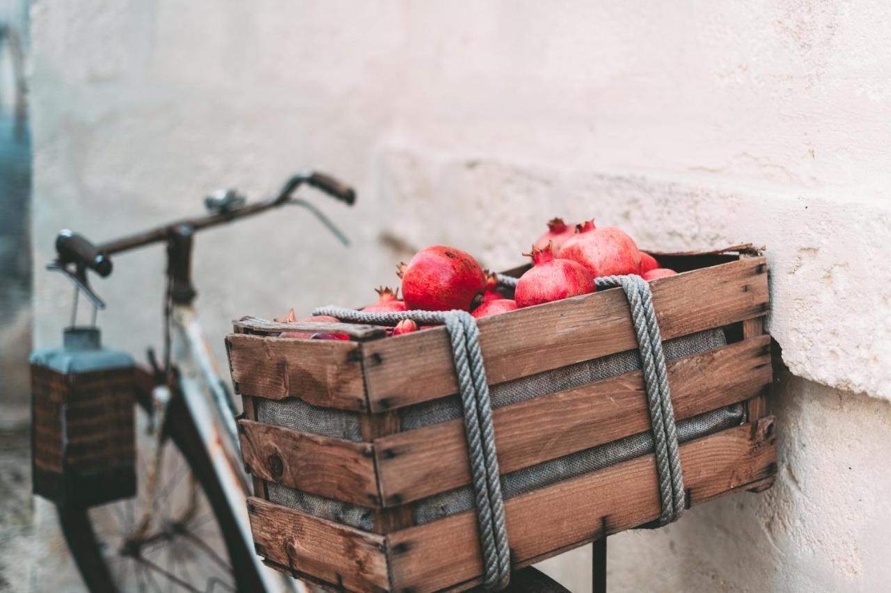 d267ee_ace46de94f9946b6852d723f164be116~mv2