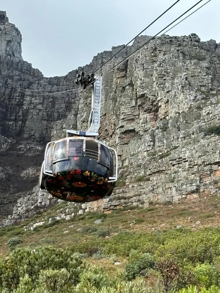 d267ee_b0664a4ee8064856821694e7dd44d629~mv2