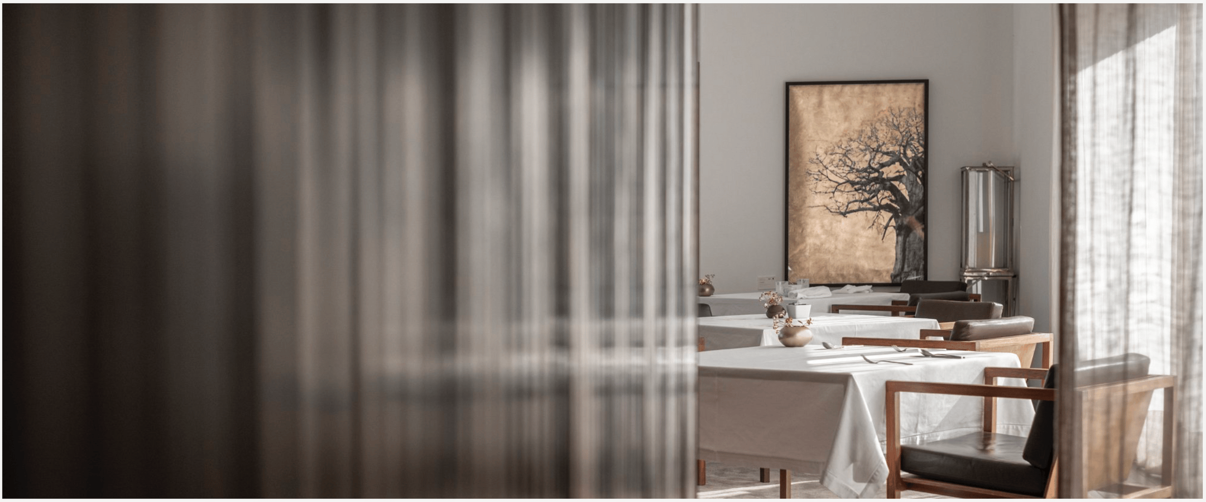 d267ee_b22910c79ec54fab8fe954beaad6e079~mv2