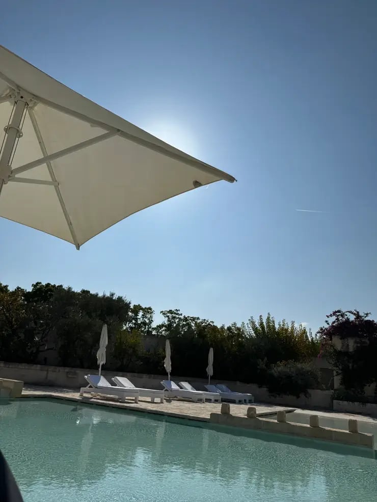 d267ee_b52190224eb14b4ebc9cb2b10525e46c~mv2