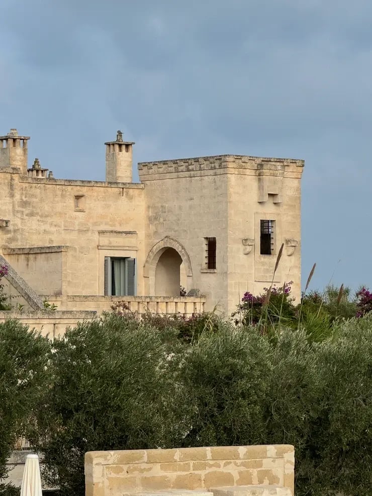 d267ee_b92a7c8d1b1e4fac88957d5a49b556f8~mv2