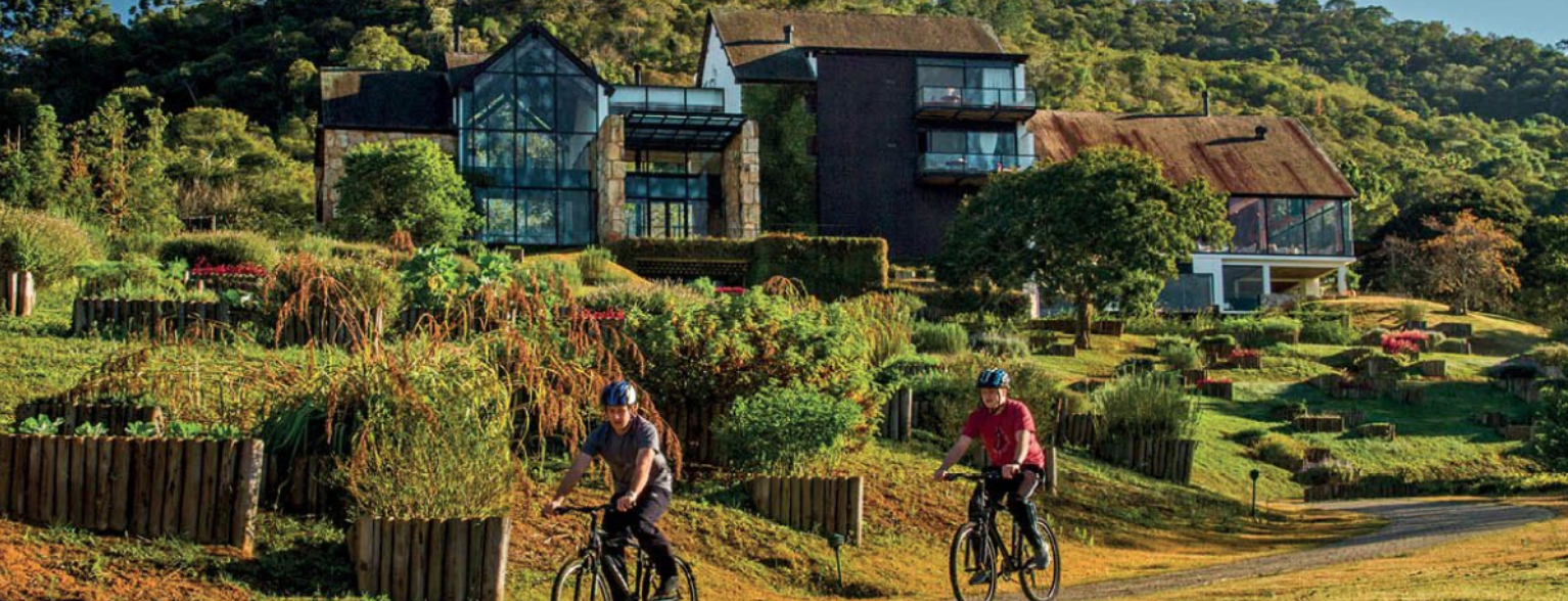 d267ee_b941db8c87fe44dcaa191559de26e227~mv2