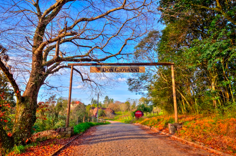 d267ee_bd557defe5a24f0c9dd4c098238e16d2~mv2