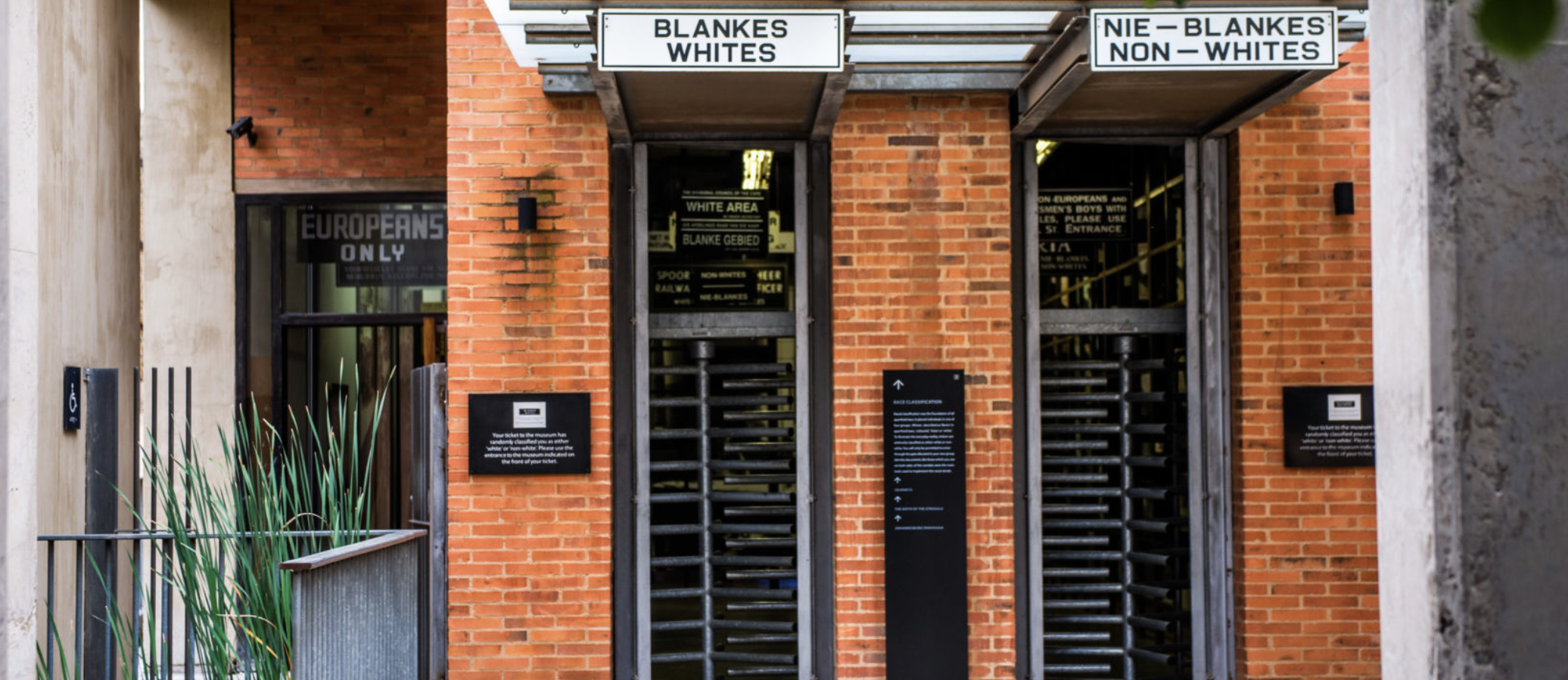 d267ee_c00b0452581140a3b01afe83c2825d02~mv2