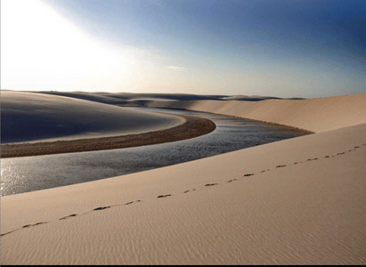 d267ee_c5b4f35b068f44679ecc08788fda4eff~mv2