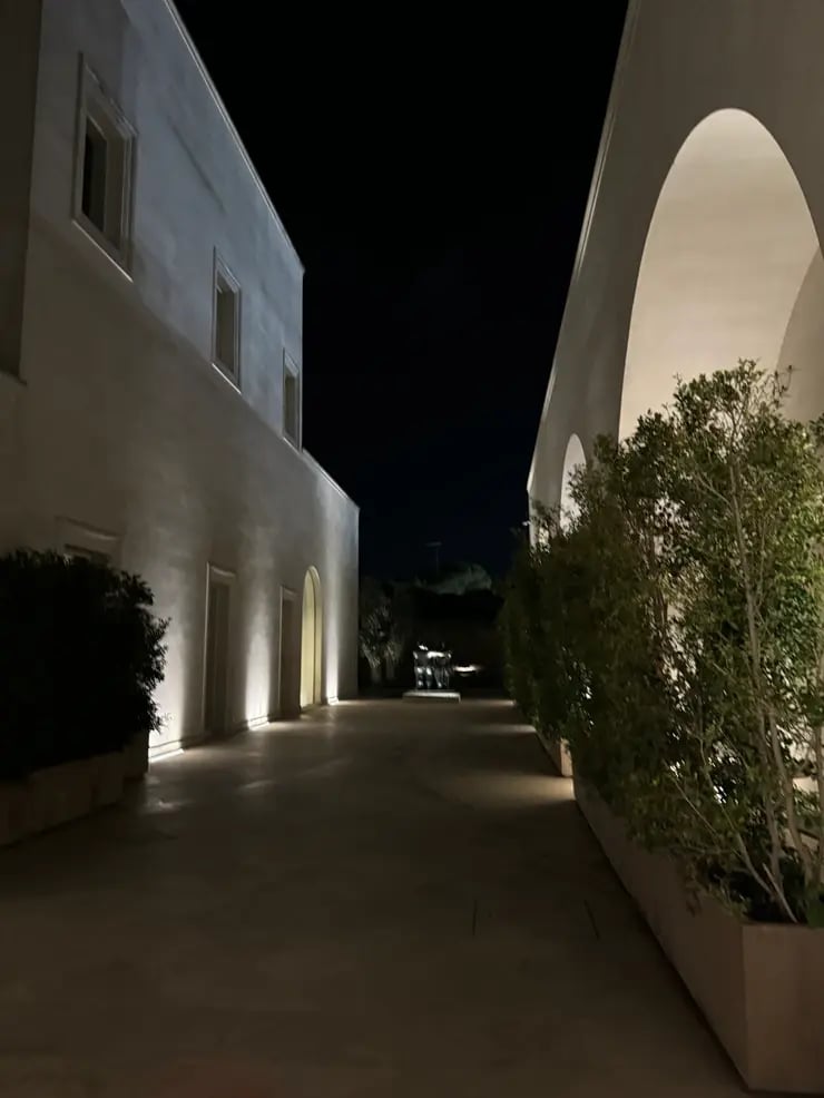 d267ee_c7980e43928947dcba3ac651794c25b7~mv2