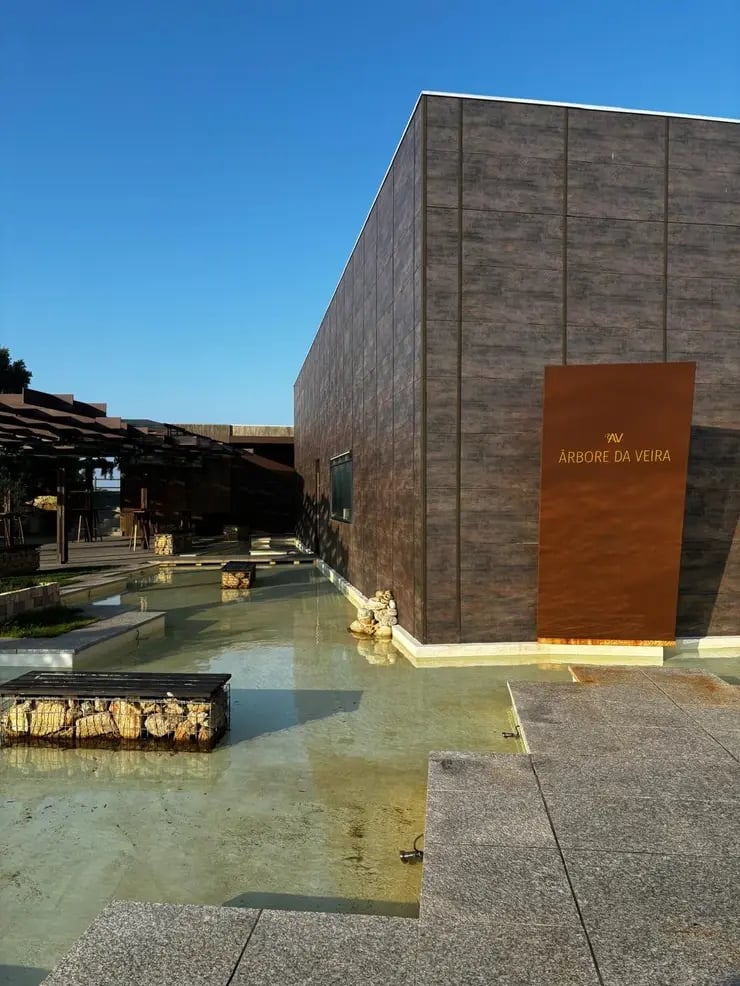 d267ee_c991c531795f41cc887659e0b16d2000~mv2