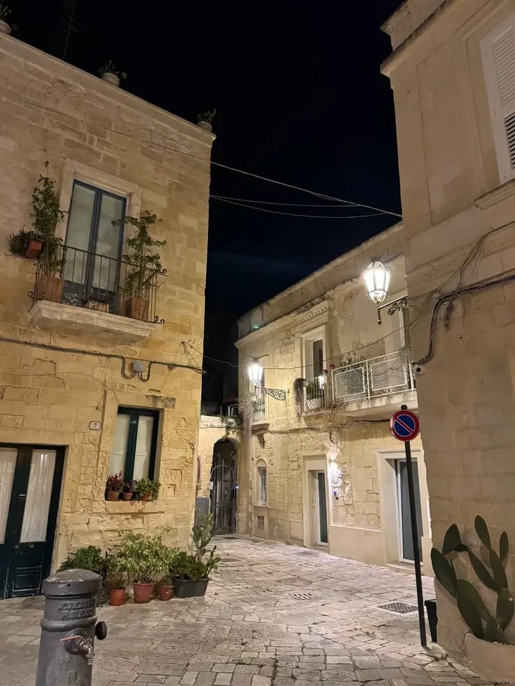 d267ee_cfb01bc25e6b49a591ecc35c9e929ade~mv2